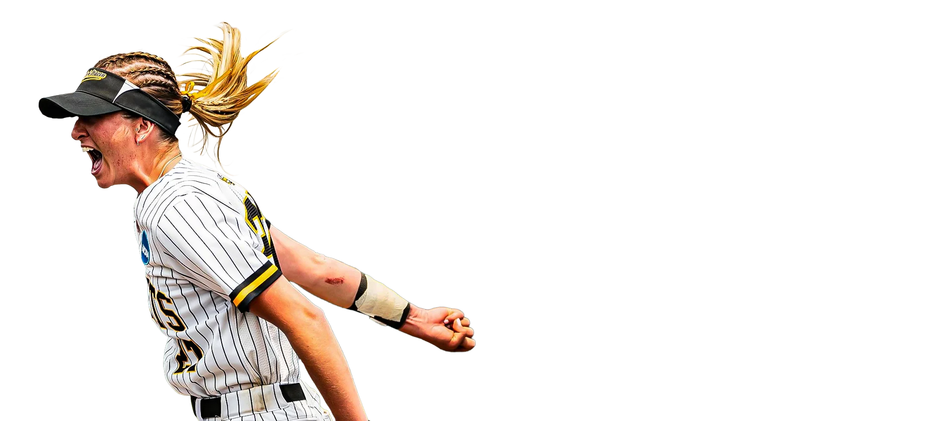 Randolph Macon College Softball Camps